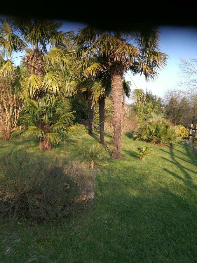 Le Coing Villa La Guiltiere ภายนอก รูปภาพ